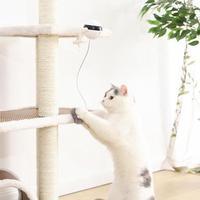 Pet Cat Toy