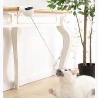 Pet Cat Toy
