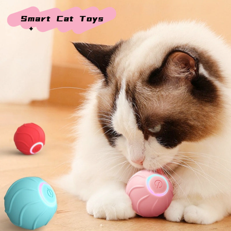 Interactive cat toy rolling ball in pink, blue, and red colors with automatic bouncing feature for kittens.