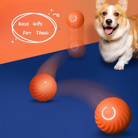Orange pet dog rubber ball toy for chew and training with a happy corgi dog