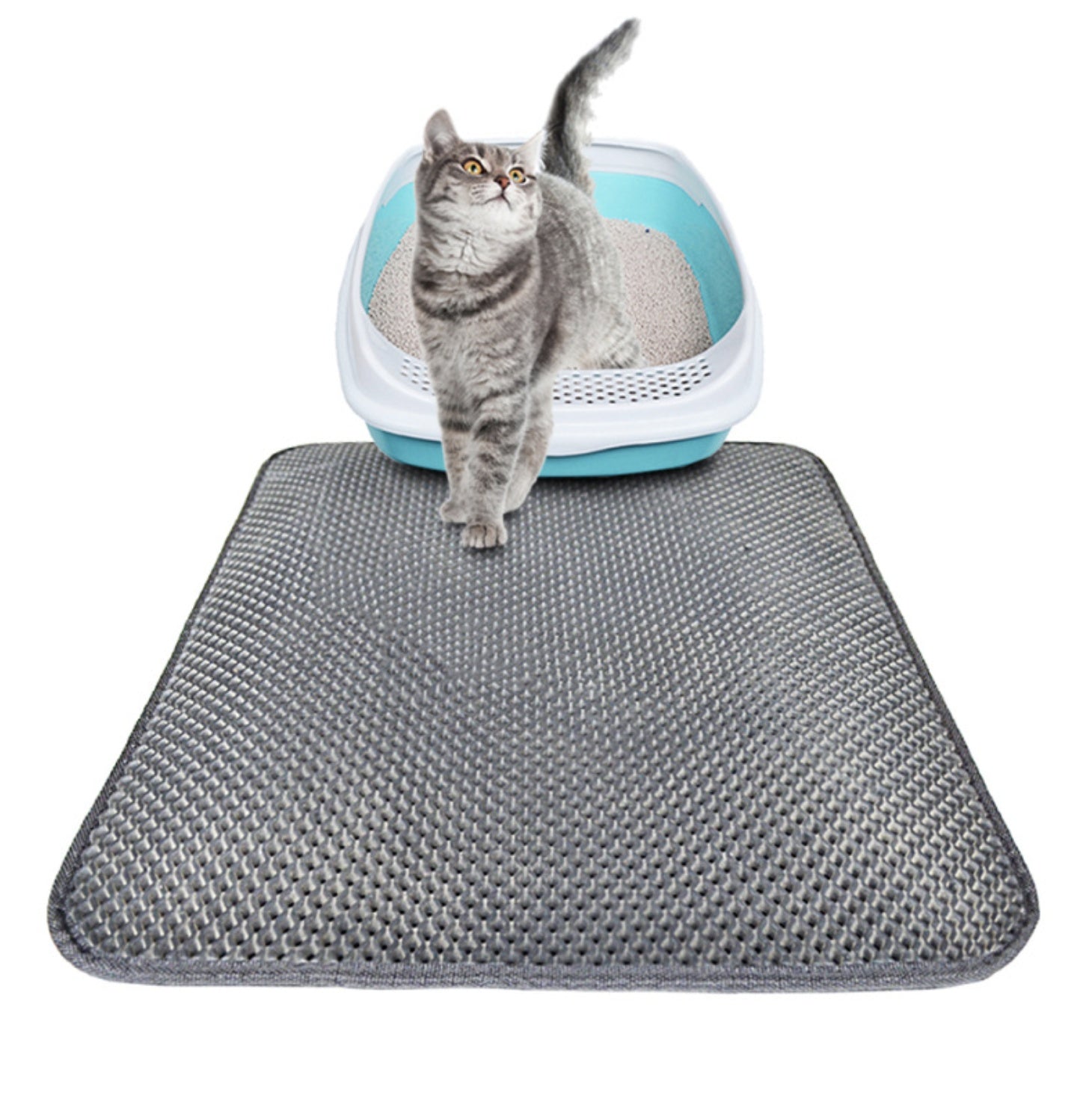Double-Layer Cat Litter Trapping Mat