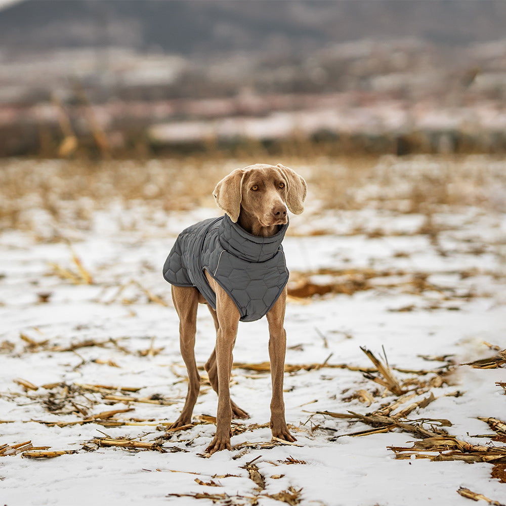 Winter Pet Clothing