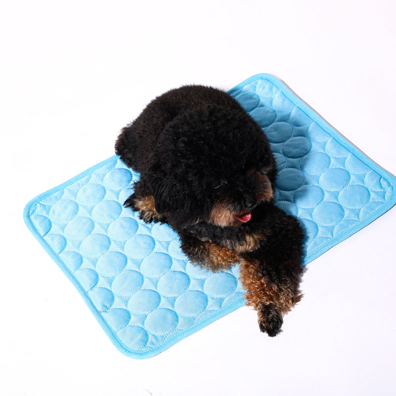 Small black dog lying on a blue cooling pet ice mat