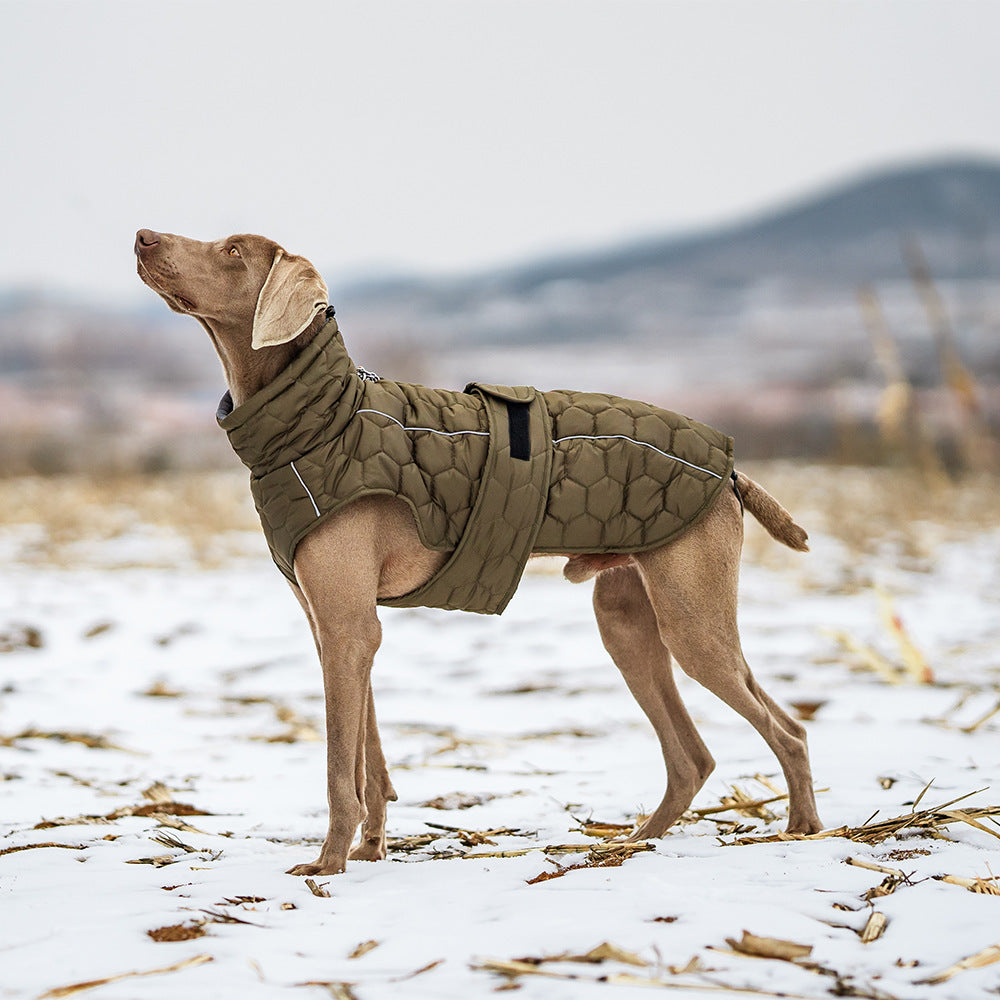 Winter Pet Clothing